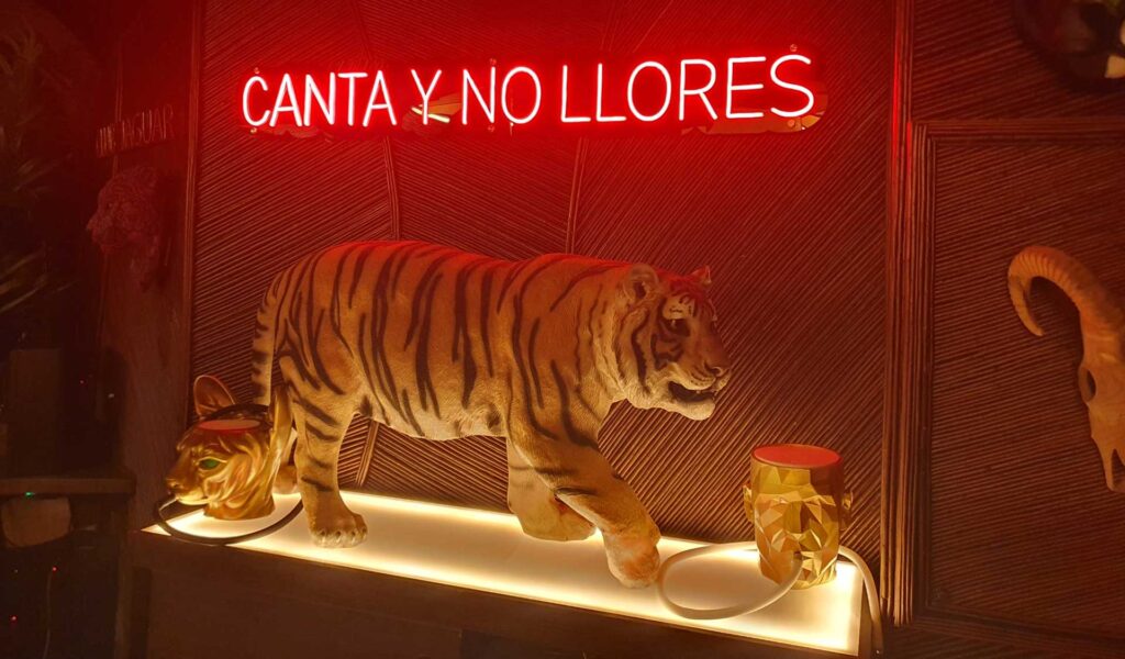 Neones luminosos | Rótulos Ibiza